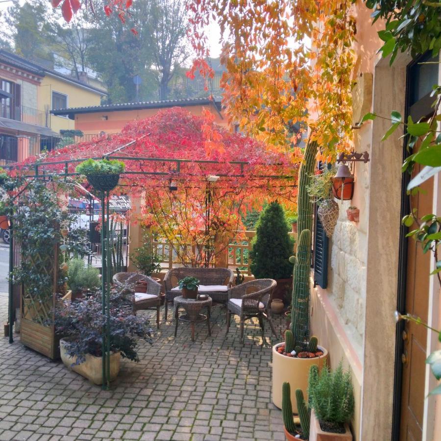 Апартаменты La Terrazza Sul Monferrato Ozzano Monferrato Экстерьер фото