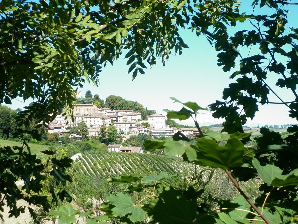 Апартаменты La Terrazza Sul Monferrato Ozzano Monferrato Экстерьер фото
